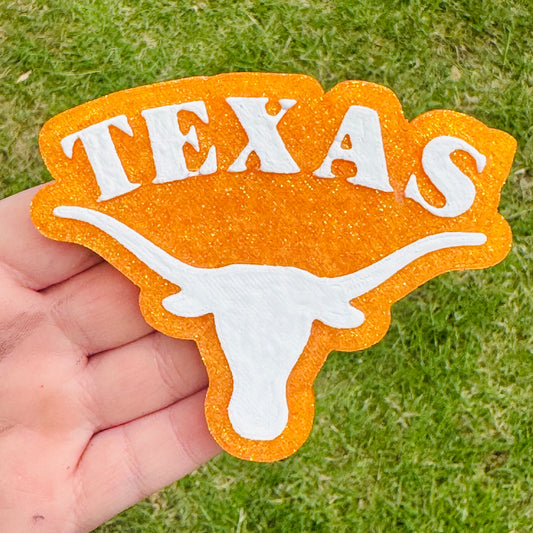 Custom Texas Longhorn Logo
